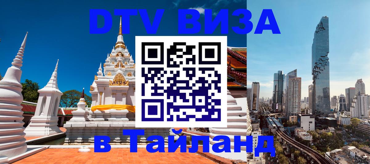 Сколько стоит DTV виза — актуальные цены, оформление даже без документов - Шахты 